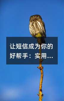 让短信成为你的好帮手:实用群发技巧分享