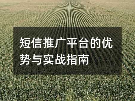 短信推广平台的优势与实战指南