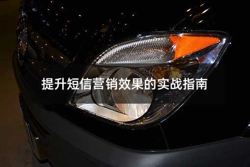 提升短信营销效果的实战指南
