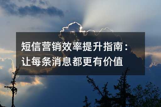 短信营销效率提升指南:让每条消息都更有价值