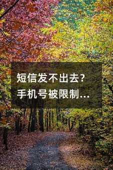 短信发不出去?手机号被限制?这几个原因和解决方法你该知道
