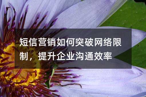 短信营销如何突破网络限制,提升企业沟通效率