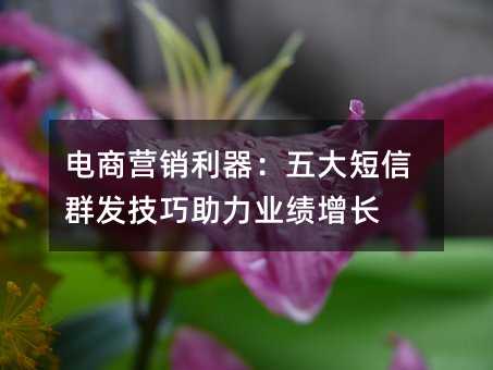 电商营销利器:五大短信群发技巧助力业绩增长