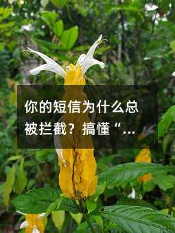 你的短信为什么总被拦截?搞懂“黑名单”背后的逻辑
