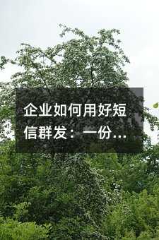 企业如何用好短信群发:一份从入门到精通的实用指南