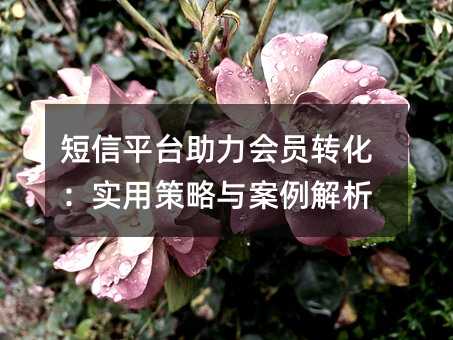 短信平台助力会员转化:实用策略与案例解析