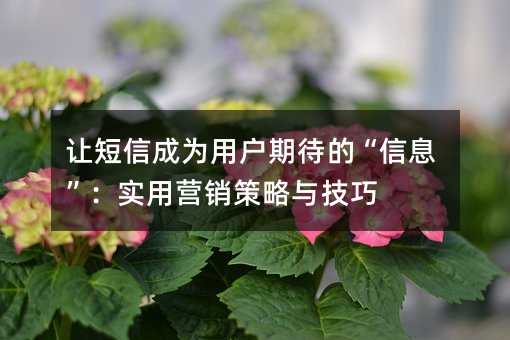 让短信成为用户期待的“信息”:实用营销策略与技巧