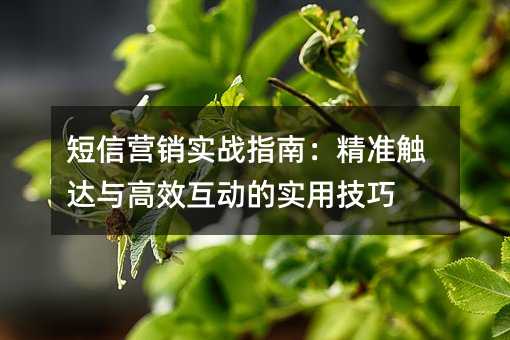短信营销实战指南:精准触达与高效互动的实用技巧