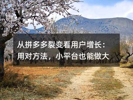 从拼多多裂变看用户增长:用对方法,小平台也能做大