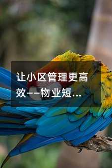 ��С����������Ч������ҵ���Ź�ͨȫ����