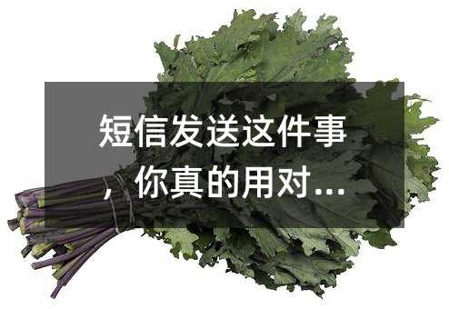 短信发送这件事,你真的用对了吗