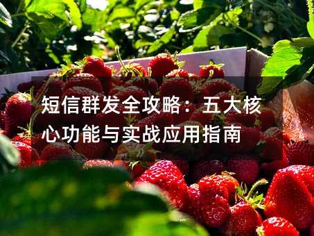 短信群发全攻略:五大核心功能与实战应用指南