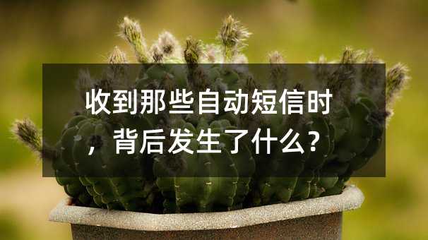 收到那些自动短信时,背后发生了什么?