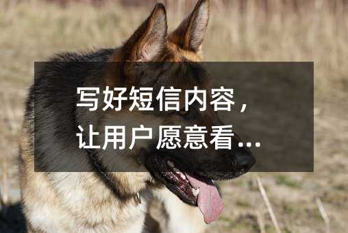 写好短信内容,让用户愿意看下去