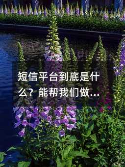 短信平台到底是什么?能帮我们做哪些事?