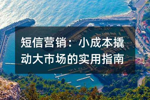 短信营销:小成本撬动大市场的实用指南