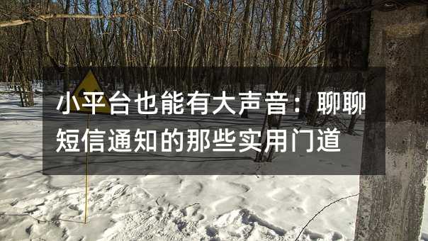 小平台也能有大声音:聊聊短信通知的那些实用门道