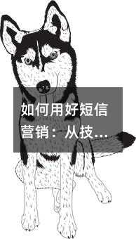 如何用好短信营销:从技巧到策略的实用指南