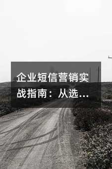 企业短信营销实战指南:从选择平台到提升转化