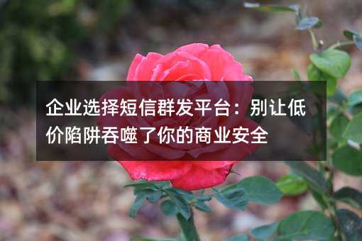 企业选择短信群发平台:别让低价陷阱吞噬了你的商业安全