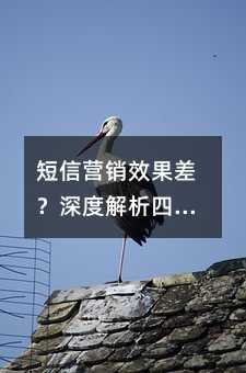 ����Ӫ��Ч�����Ƚ����Ĵ�ؼ�������Ľ�����