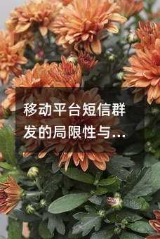 移动平台短信群发的局限性与应对策略