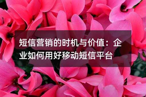 短信营销的时机与价值:企业如何用好移动短信平台