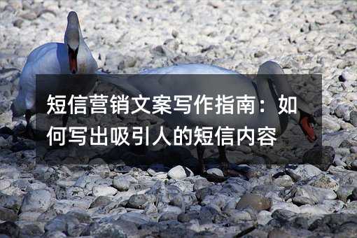 短信营销文案写作指南:如何写出吸引人的短信内容