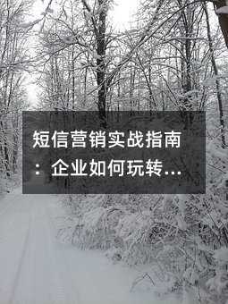短信营销实战指南:企业如何玩转移动营销新阵地
