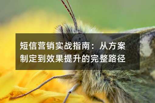 短信营销实战指南:从方案制定到效果提升的完整路径