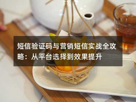 短信验证码与营销短信实战全攻略:从平台选择到效果提升