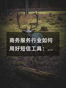 商务服务行业如何用好短信工具:从通知触达到客户留存的实战指南