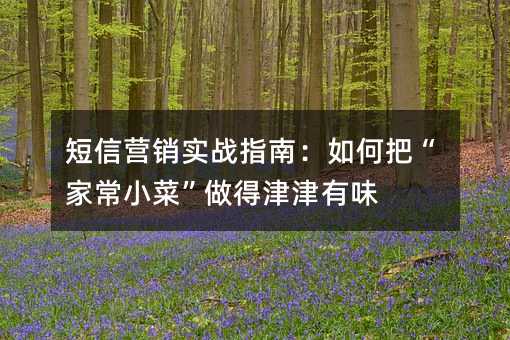 短信营销实战指南:如何把“家常小菜”做得津津有味