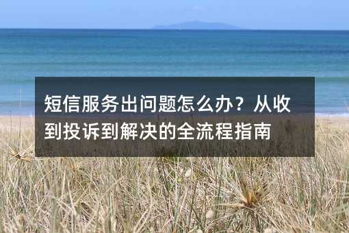 短信服务出问题怎么办?从收到投诉到解决的全流程指南