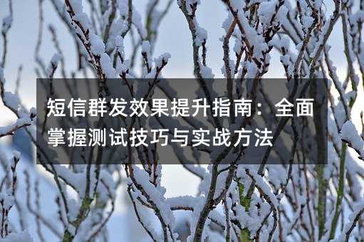 短信群发效果提升指南:全面掌握测试技巧与实战方法