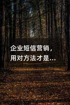 企业短信营销,用对方法才是关键