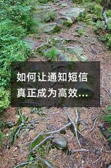 如何让通知短信真正成为高效沟通工具