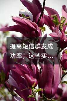 提高短信群发成功率,这些实用技巧你必须掌握