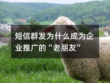 短信群发为什么成为企业推广的“老朋友”
