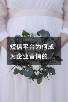 短信平台为何成为企业营销的得力助手