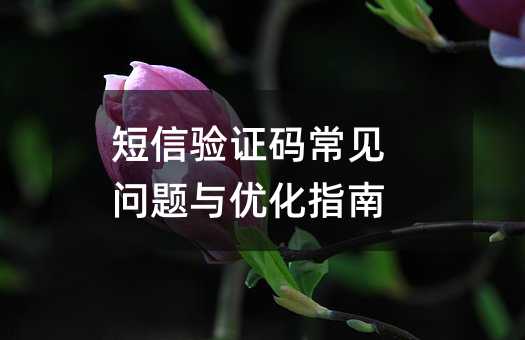 短信验证码常见问题与优化指南