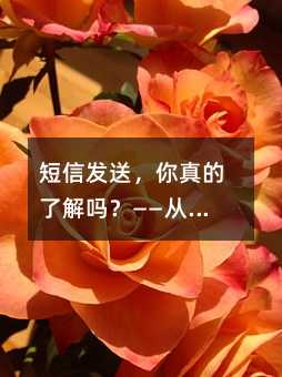 短信发送,你真的了解吗?——从选择到避坑,一篇说清楚