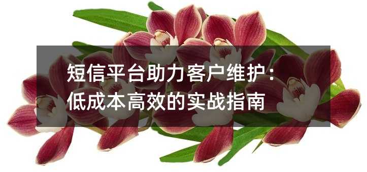 短信平台助力客户维护:低成本高效的实战指南