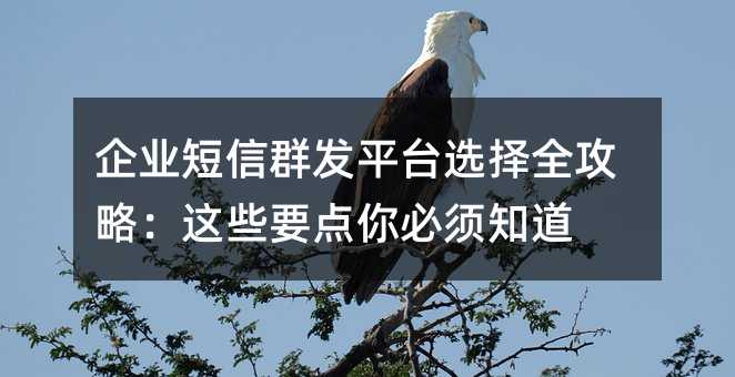 企业短信群发平台选择全攻略:这些要点你必须知道
