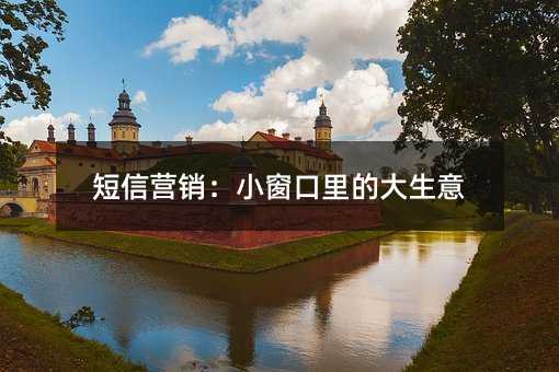 短信营销:小窗口里的大生意