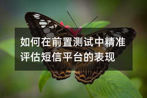 如何在前置测试中精准评估短信平台的表现