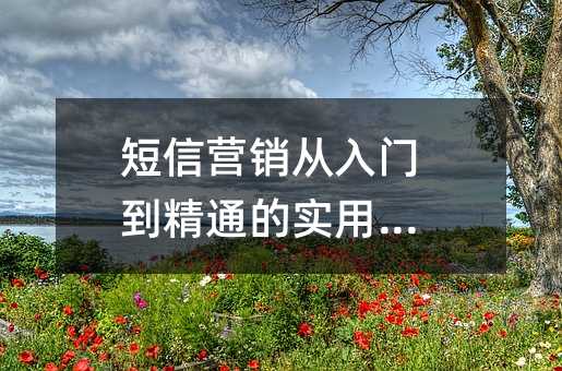 短信营销从入门到精通的实用指南