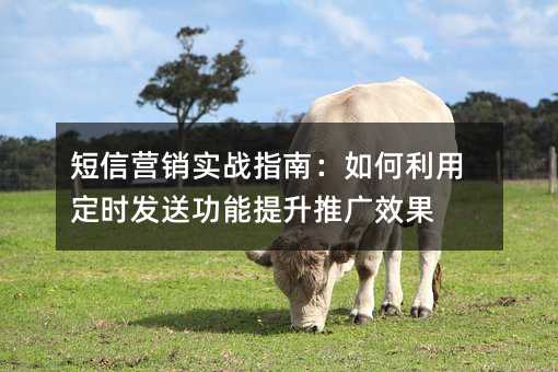 短信营销实战指南:如何利用定时发送功能提升推广效果