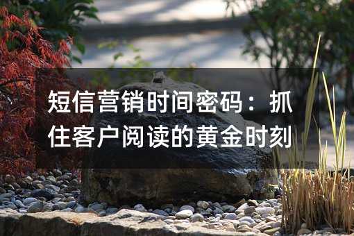 短信营销时间密码:抓住客户阅读的黄金时刻