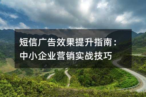 短信广告效果提升指南:中小企业营销实战技巧